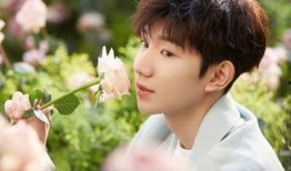 王源最新的爆料新闻事件,揭秘娱乐圈背后惊人真相